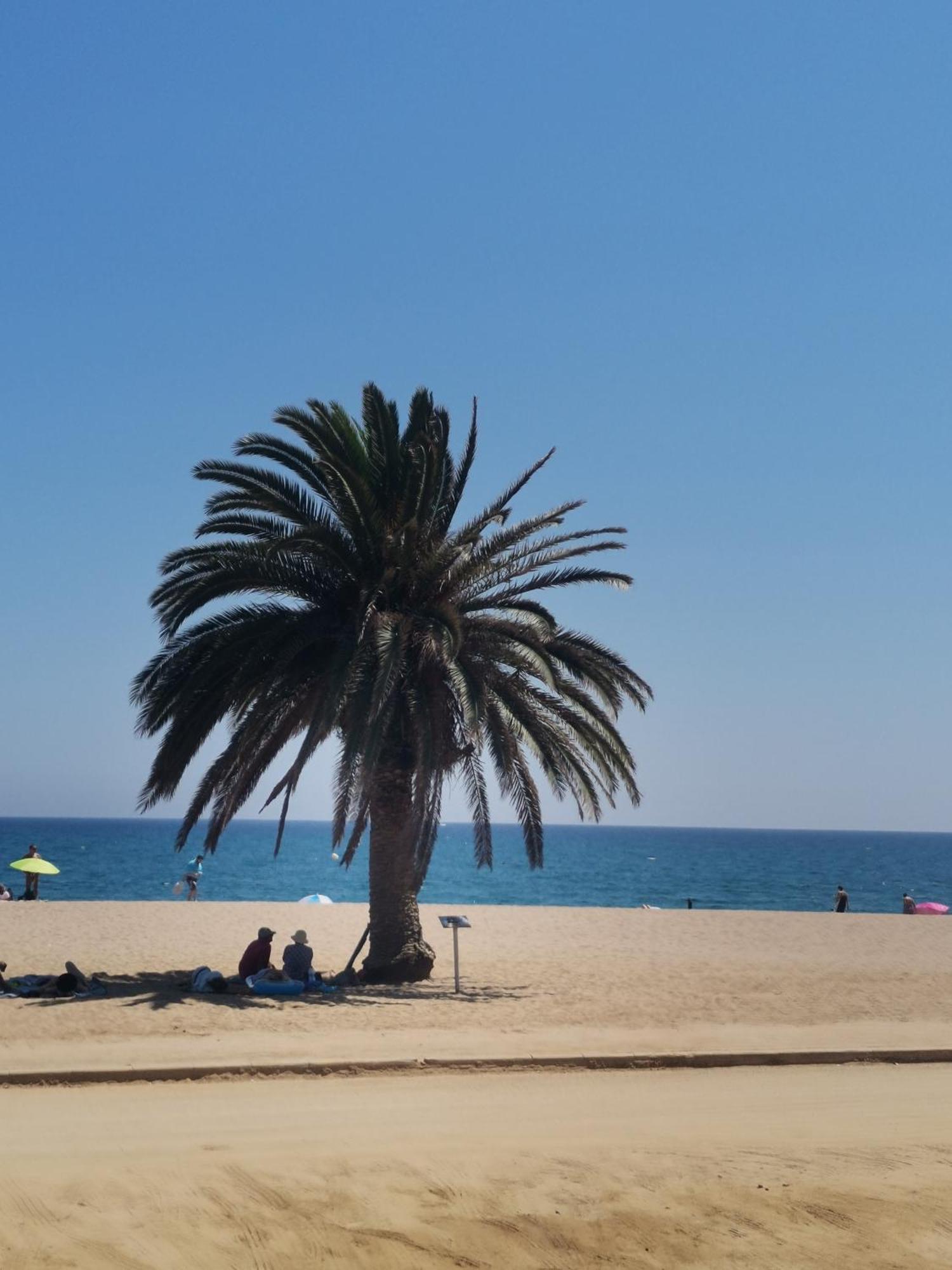 Apartamento Centrico En Calella Dış mekan fotoğraf