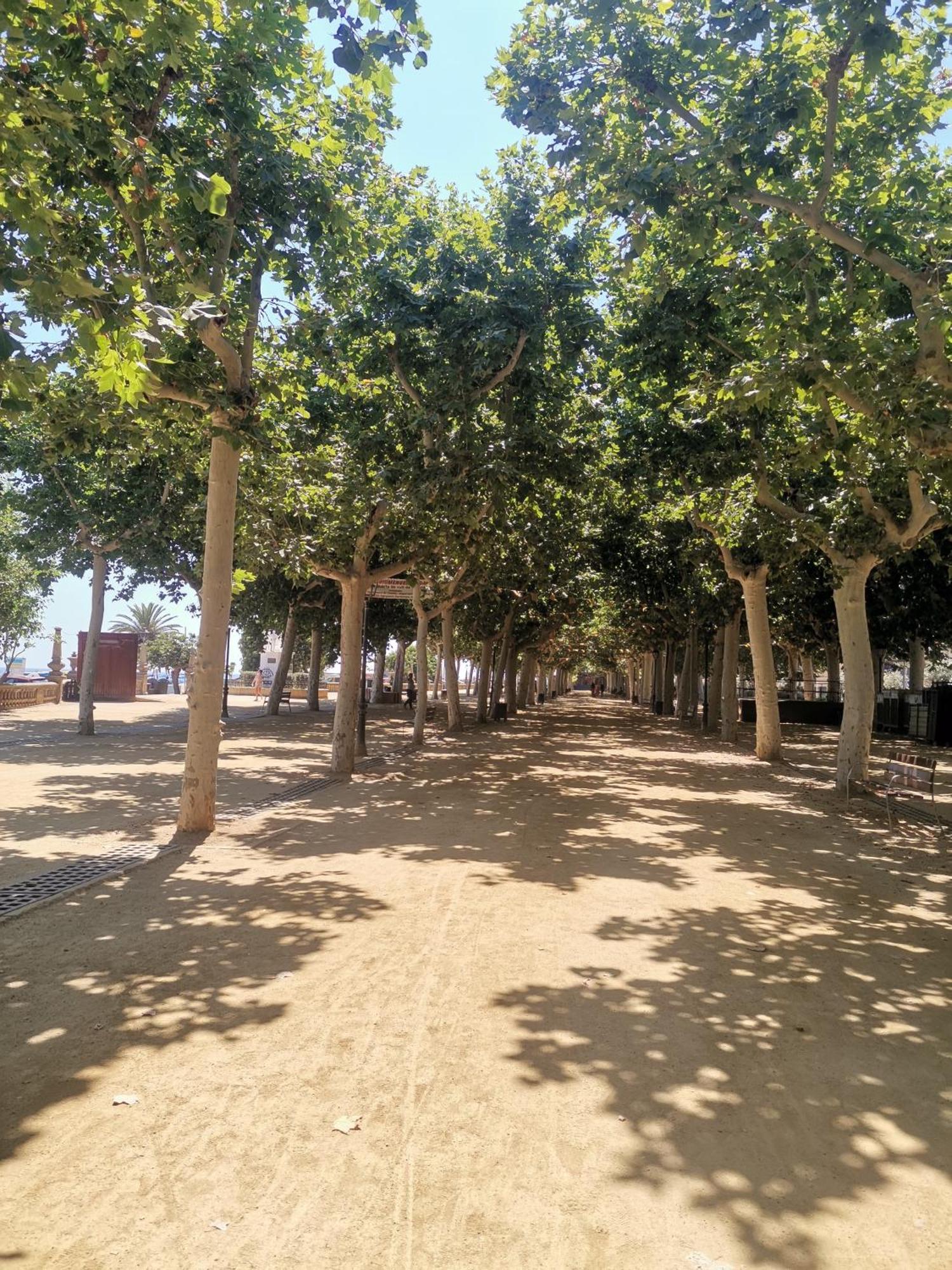 Apartamento Centrico En Calella Dış mekan fotoğraf